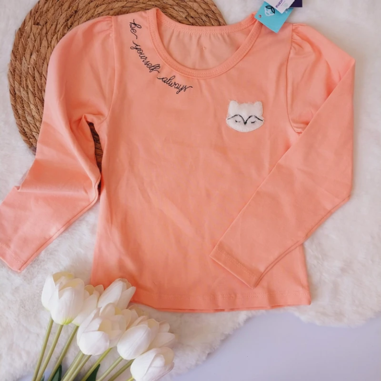 Remera Zorro