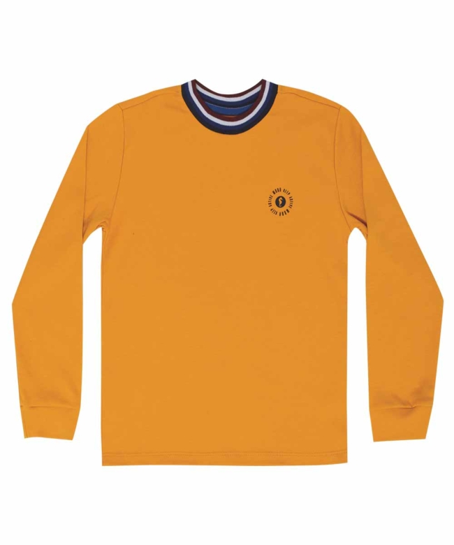 Remera Algodón Premium