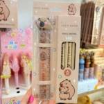 Set Lapices y Regla - Capybara